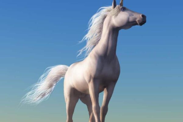 What Do Unicorns Good Electricians Have In Common