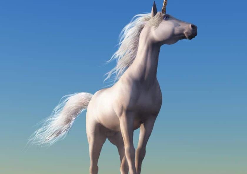 What Do Unicorns Good Electricians Have In Common