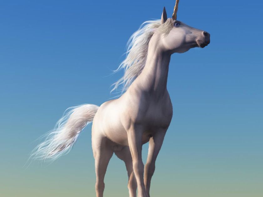 What Do Unicorns Good Electricians Have In Common