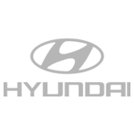 scottelectrics Electric Vehicle Chargers Expert EV Installations Sydney Hyundai logo