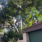 Switchboard & Consumer Mains Upgrade in Crows Nest