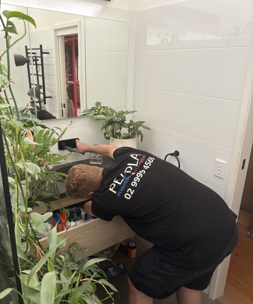 scott-electrics-dual-trade-partner-pearla-plumbing-kitchen-migration-site